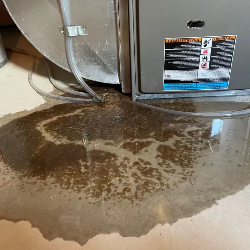 Pipe Burst and Leak Restoration in Arlington, MA